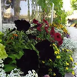 호텔 Ristorante 노비리구레