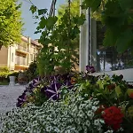 Ristorante فندق